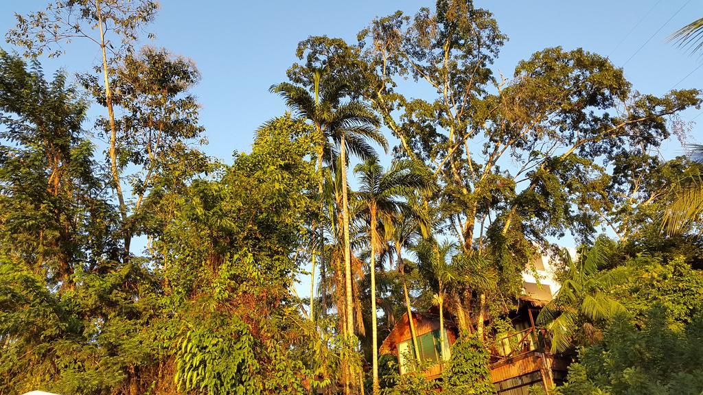 Wasai Puerto Maldonado Eco Lodge Eksteriør billede